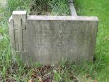 image number DCSF2065